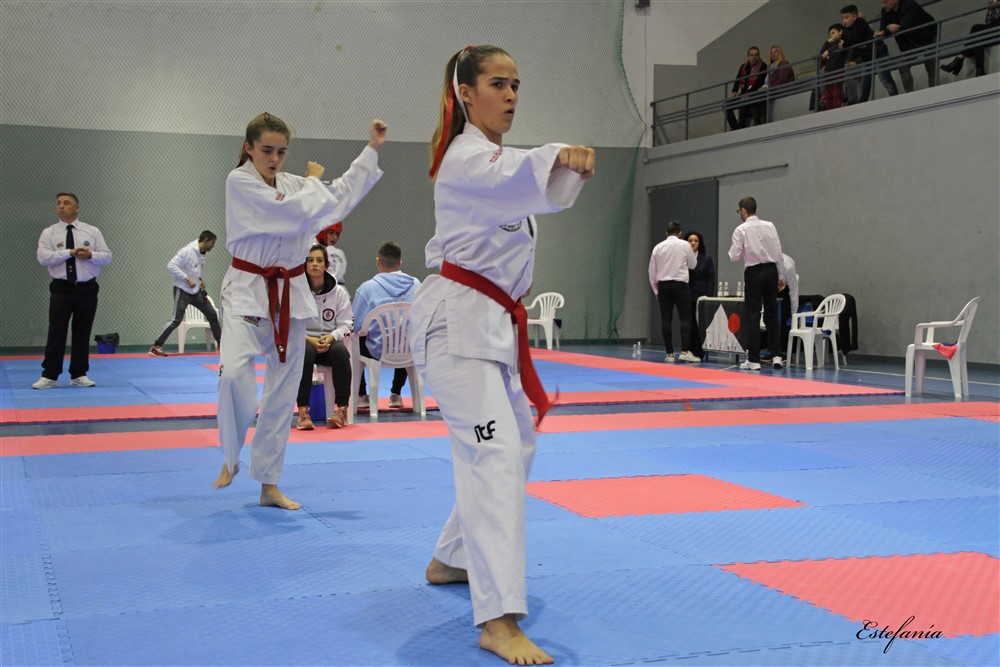 Copa Seul 2018 (456).jpg